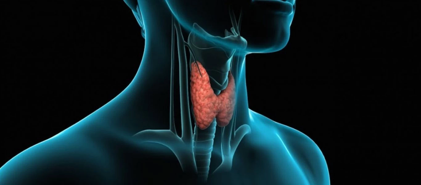 Θυρεοειδής: Πότε και γιατί πρέπει να αφαιρείται